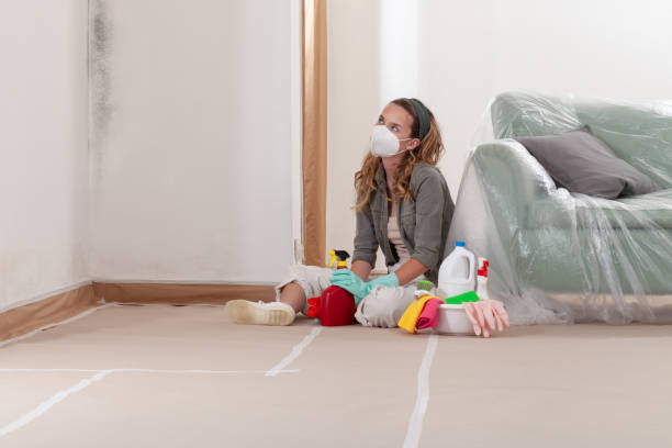 Reliable Basement Mold Removal contractor in Temperanceville, VA by WQB Mold Removal